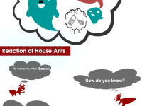 Story of BABLU part 2 – Reaction of house ants